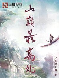 山巅最高处封面