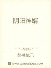 阴阳神婿封面