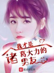 我才是诸葛大力的男友封面