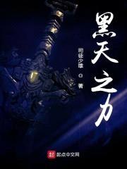 黑天之力封面