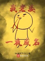 我老婆一夜成名封面