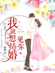 一见你我就想结婚封面