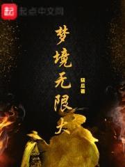 梦境无限大封面