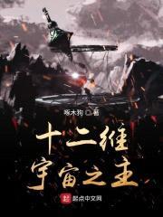 十二维宇宙之主封面