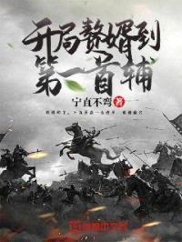 开局赘婿到第一首辅封面