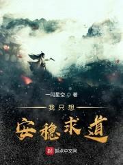 我只想安稳求道封面