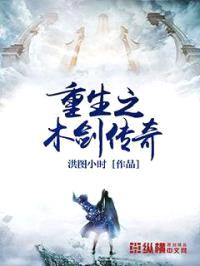 重生之木剑传奇封面