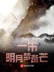 一朱明月梦苍芒封面
