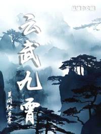 云武九霄封面