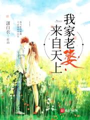 我家老婆来自天上封面