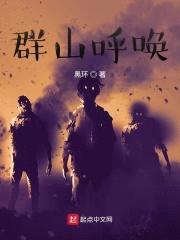 群山呼唤封面