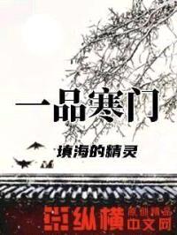 一品寒门封面