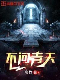 不问青天封面