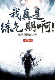 我真是练气期啊封面