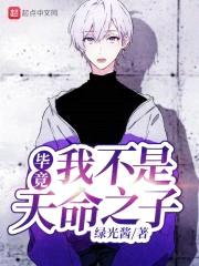 毕竟我不是天命之子封面