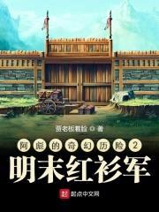 明末红衫军封面