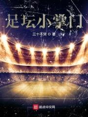 足坛小掌门封面