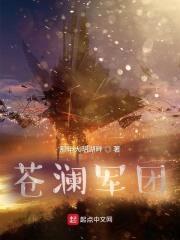 苍澜军团封面