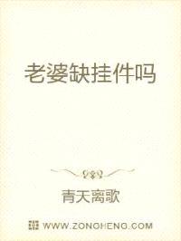 老婆缺挂件吗封面