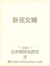 卧底女婿封面