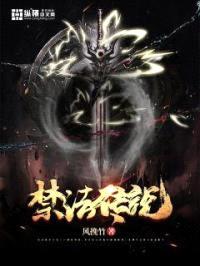 禁法传说封面