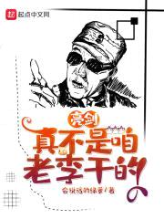亮剑：真不是咱老李干的封面