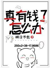 真有钱了怎么办封面