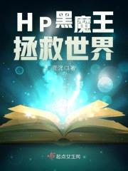 HP黑魔王拯救世界封面