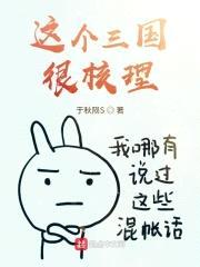 这个三国很核理封面