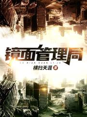 镜面管理局封面