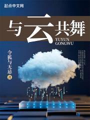 与云共舞封面