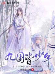 九国皆少年封面