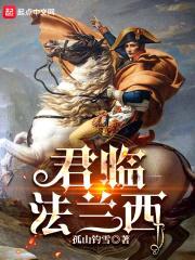 君临法兰西封面