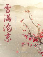 雪满沧京封面
