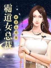 霸道女总裁被迫去相亲封面