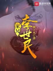 家兄李世民封面