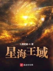 星海王域封面