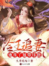 冷王追妻：通房丫鬟带球跑封面