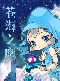 苍海之鹰封面