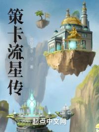 策卡流星传封面
