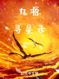 九源寻星录封面