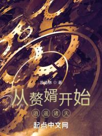 从赘婿开始无限掠夺诸天封面