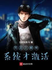 我走上巅峰系统才激活封面