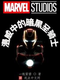 漫威中的暗黑圣骑士封面