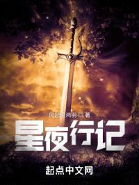 星夜行记封面