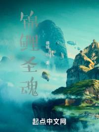 斗罗锦鲤圣魂封面