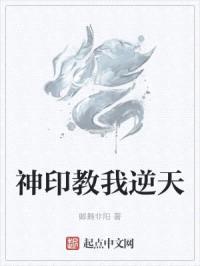 我的奇门不遁甲封面