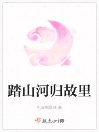 踏山河归故里封面