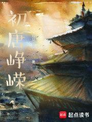 穿越初唐从上吊开始封面