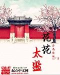 花花太监封面